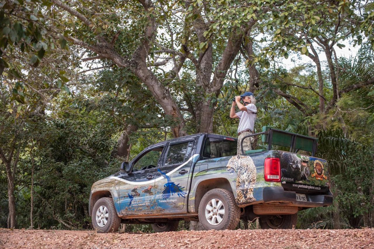 Pousada Araras Pantanal Eco Lodge Carvoalzinho Dış mekan fotoğraf