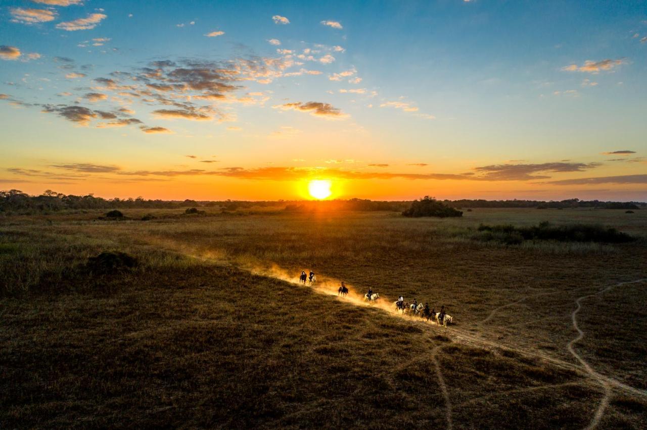 Pousada Araras Pantanal Eco Lodge Carvoalzinho Dış mekan fotoğraf