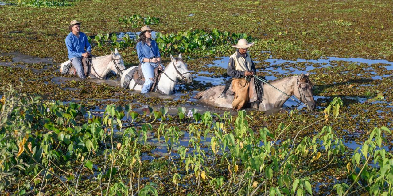Pousada Araras Pantanal Eco Lodge Carvoalzinho Dış mekan fotoğraf