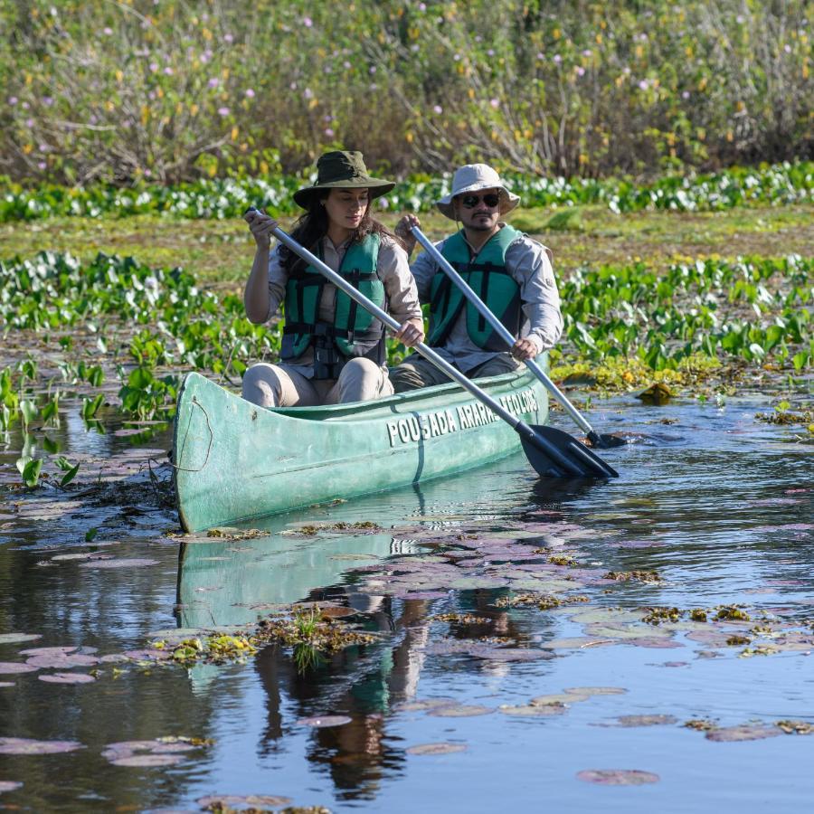 Pousada Araras Pantanal Eco Lodge Carvoalzinho Dış mekan fotoğraf
