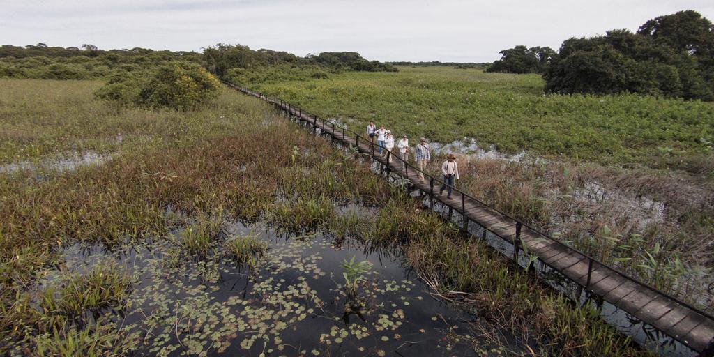 Pousada Araras Pantanal Eco Lodge Carvoalzinho Dış mekan fotoğraf