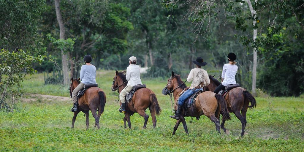 Pousada Araras Pantanal Eco Lodge Carvoalzinho Dış mekan fotoğraf