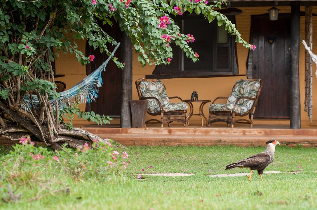 Pousada Araras Pantanal Eco Lodge Carvoalzinho Dış mekan fotoğraf