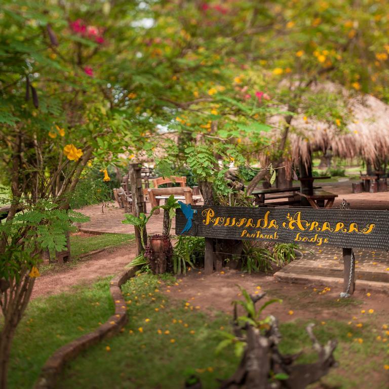 Pousada Araras Pantanal Eco Lodge Carvoalzinho Dış mekan fotoğraf