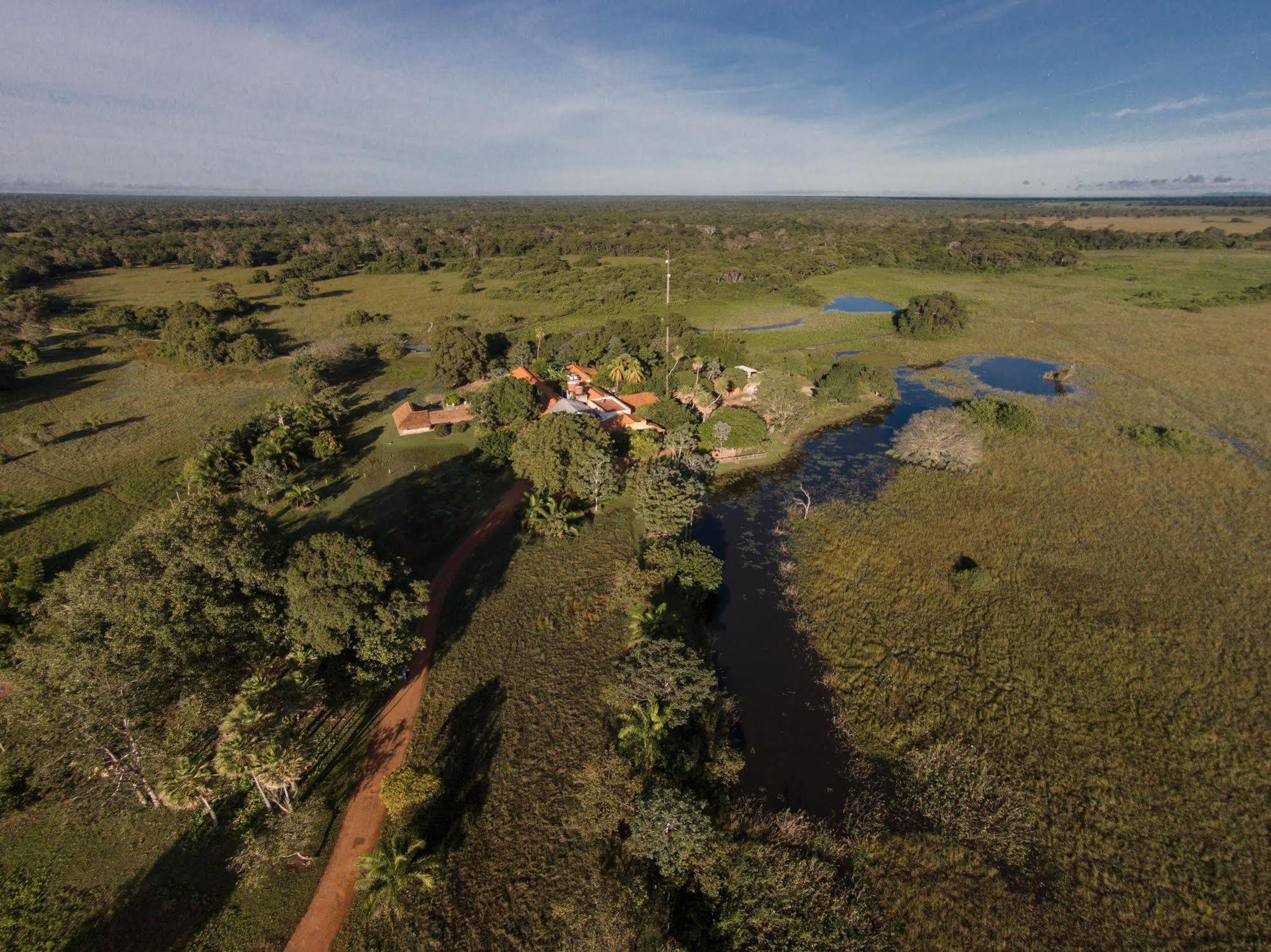 Pousada Araras Pantanal Eco Lodge Carvoalzinho Dış mekan fotoğraf