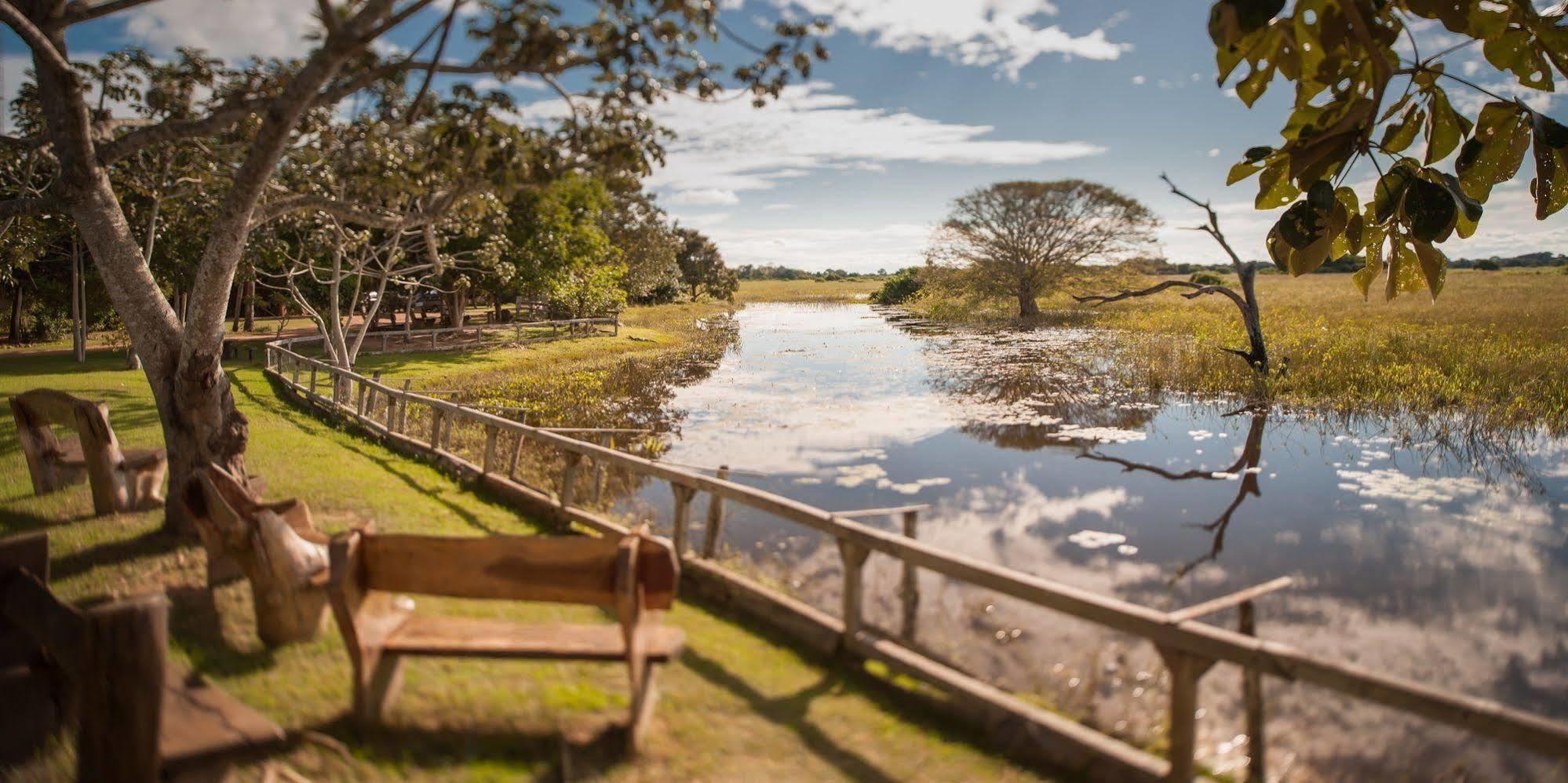 Pousada Araras Pantanal Eco Lodge Carvoalzinho Dış mekan fotoğraf